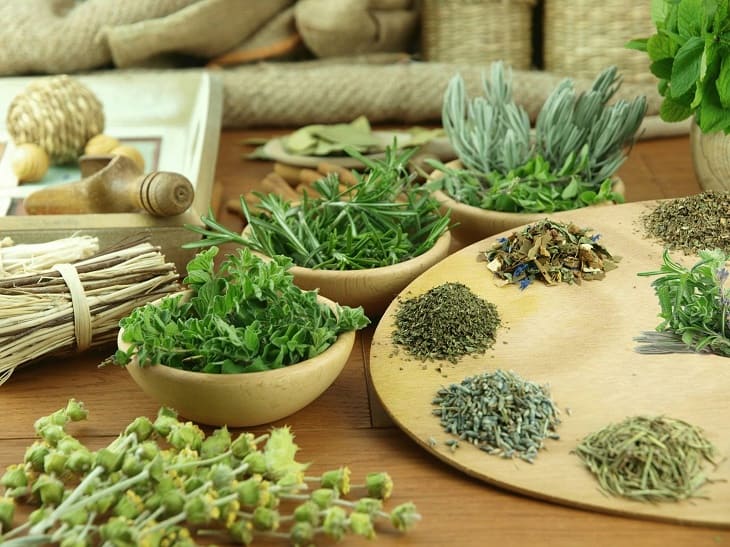 Cây thuốc chữa đau dạ dày