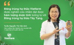 đông trùng hạ thảo
