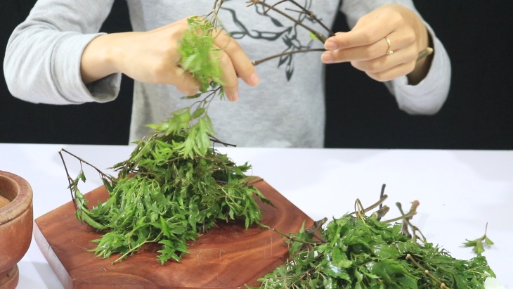 Chữa á sừng bằng lá đinh lăng