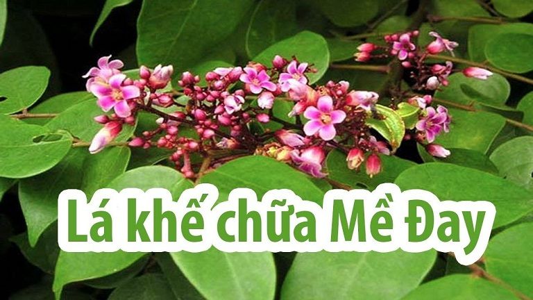 Chữa mề đay bằng lá khế không gây tác dụng phụ