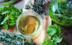Một số bài thuốc dân gian có tác dụng trị sỏi mật hiệu quả
