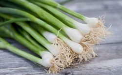 Công dụng của hành hoa trong điều trị vảy nến