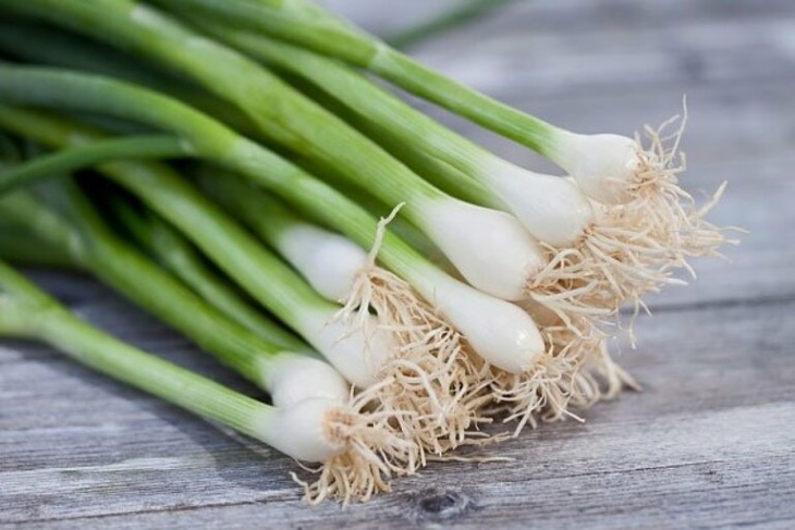 Công dụng của hành hoa trong điều trị vảy nến