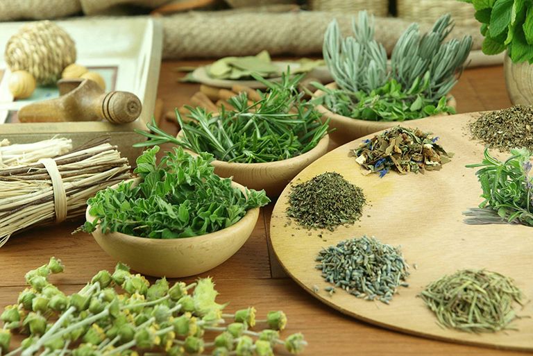 TOP 11 những cây thuốc nam chữa yếu sinh lý giúp sung mãn mọi cuộc yêu