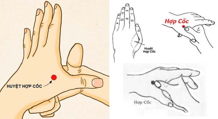 Huyệt Hợp Cốc ở đâu? Tác dụng và ứng dụng thực tiễn trong trị liệu