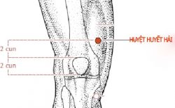 Huyệt Huyết Hải Nằm Ở Đâu? Cách bấm trị bệnh đau khớp gối hiệu quả