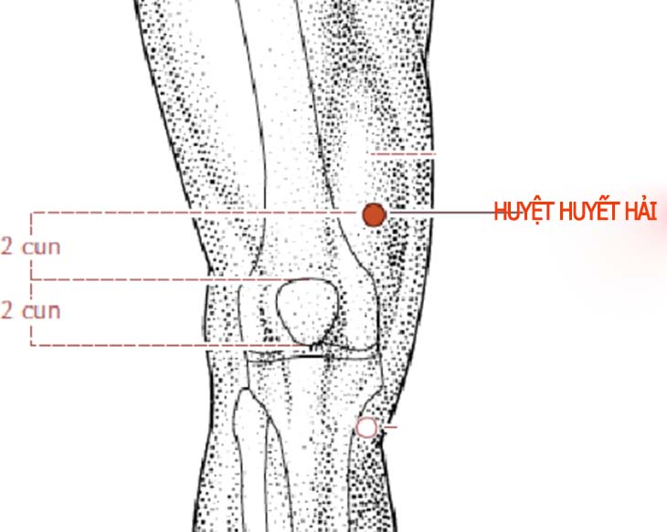Huyệt Huyết Hải Nằm Ở Đâu? Cách bấm trị bệnh đau khớp gối hiệu quả