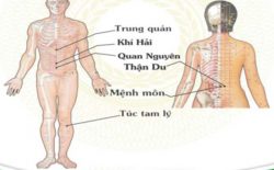 Huyệt quan nguyên: Vị trí, chủ trị, cách bấm và châm cứu