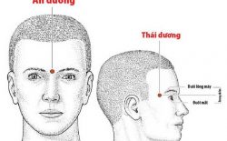 Huyệt thái dương ở đâu? Tác dụng của huyệt vị này là gì?