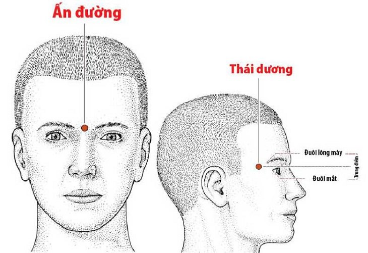 Huyệt thái dương ở đâu? Tác dụng của huyệt vị này là gì?
