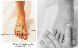 Huyệt thái xung: Vị trí, công năng và ứng dụng trong trị liệu