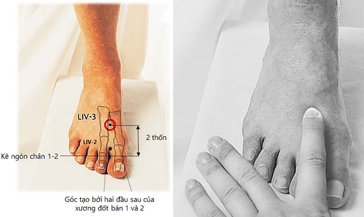 Huyệt thái xung: Vị trí, công năng và ứng dụng trong trị liệu