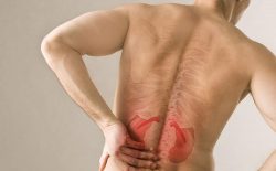 Huyệt thận du: Vị trí, công năng và phương pháp tác động hiệu quả