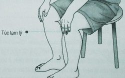 Huyệt túc tam lý là gì? Mẹo xác định vị trí và cách bấm chuẩn xác