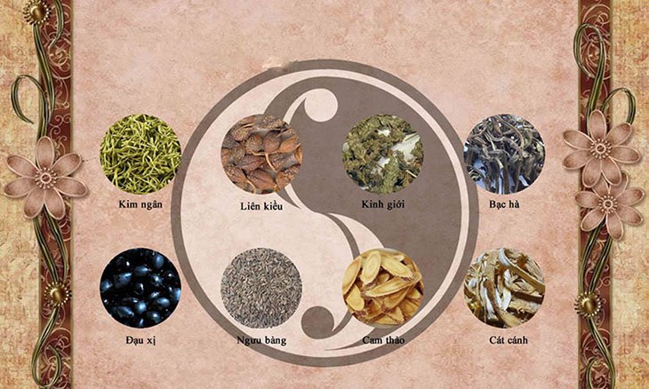 Ngân kiều tán: Bài thuốc Đông y trị bệnh hô hấp hiệu nghiệm