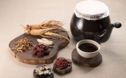 Bài thuốc Đông y Tiểu sài hồ thang: Những điều bạn nên biết