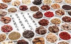 Chân vũ thang - Bài thuốc trị tỳ thận dương hư hiệu quả