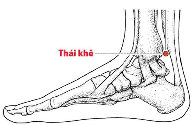 Huyệt thái khê là gì? Vị trí, tác dụng và cách bấm trị bệnh