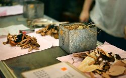 Xuyên khung trà điều tán: Bài thuốc trị đau đầu, ố hàn phát nhiệt cổ xưa
