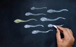 Top 12 cách trị tinh trùng loãng tại nhà hiệu quả cao