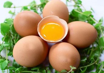 Tìm hiểu 5 cách chữa yếu sinh lý bằng trứng gà mang tới hiệu quả cao