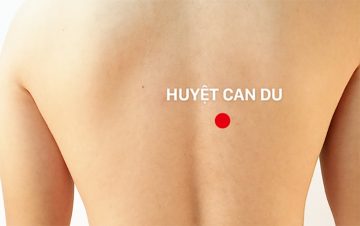 Bạn không nên tùy tiện bấm huyệt Can Du khi chưa xác định được vị trí huyệt
