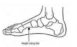 Huyệt công tôn có vai trò cực kỳ quan trọng với sức khỏe con người