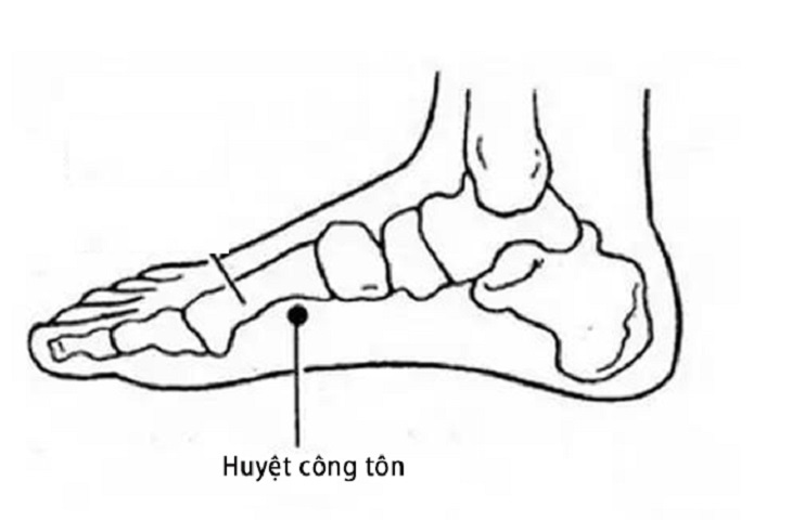 Huyệt công tôn có vai trò cực kỳ quan trọng với sức khỏe con người