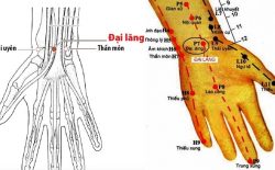 huyệt đại lăng