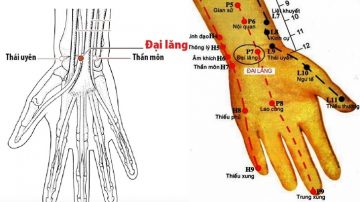 huyệt đại lăng