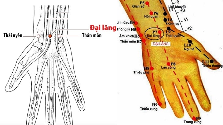 huyệt đại lăng