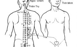 Huyệt Đại Trường Du