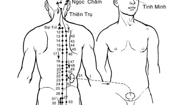 Huyệt Đại Trường Du