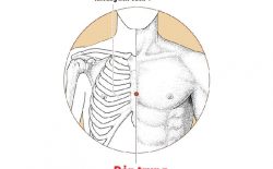 Hình ảnh huyệt Đản Trung trên cơ thể con người