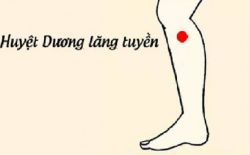 Không phải ai cũng có thể bấm huyệt dương chi lăng tuyền
