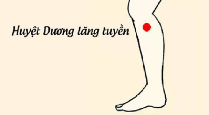 Không phải ai cũng có thể bấm huyệt dương chi lăng tuyền