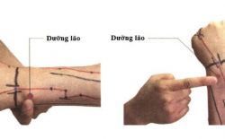 Huyệt Dưỡng Lão