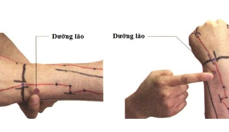 Huyệt Dưỡng Lão
