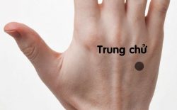 Hình ảnh huyệt Dương Trì