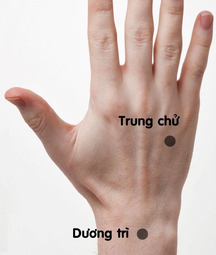 Hình ảnh huyệt Dương Trì