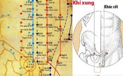 huyệt khúc cốt