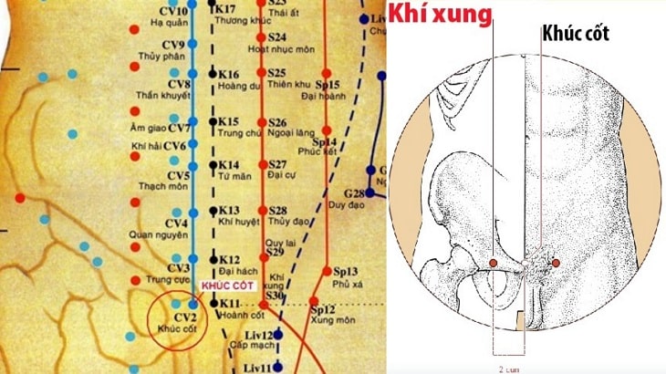 huyệt khúc cốt