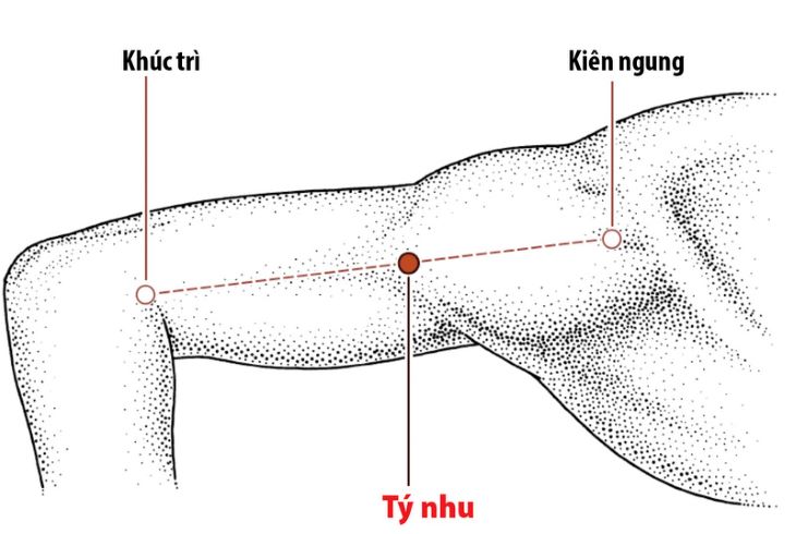 Vị trí huyệt Kiên Ngung