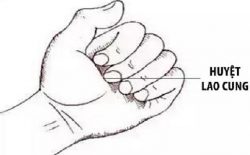 Vị trí huyệt Lao Cung trên cơ thể con người
