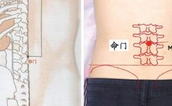 Huyệt mệnh môn được xem là cửa ngõ sinh mệnh của của con người