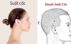 huyệt Suất Cốc