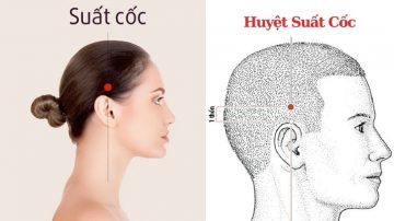 huyệt Suất Cốc