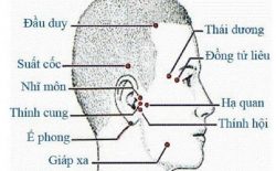 Huyệt Thính Cung: Vị trí, cách xác định và hướng dẫn bấm huyệt