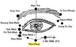 Huyệt Thừa Khấp được phối với nhiều huyệt đạo khác nhằm điều trị các bệnh lý về mắt