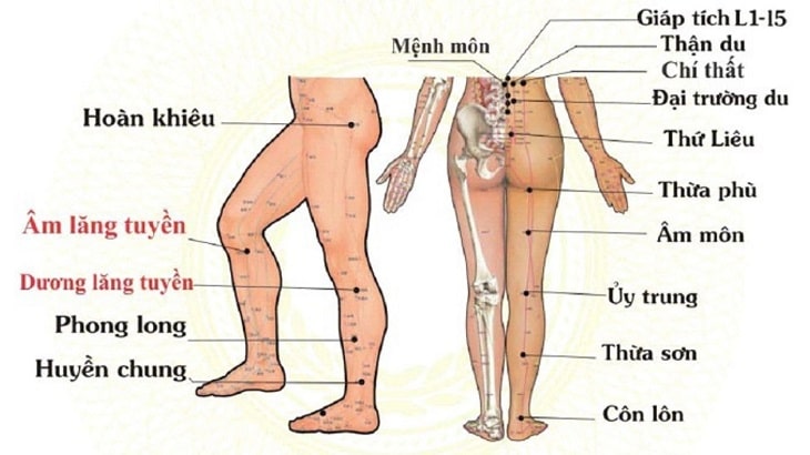 huyệt thừa phù